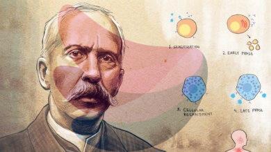 Charles Richet and his Nobel-winning work on severe allergic reactions