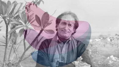 Raghu Rai, renowned photographer, passes away at 83