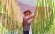 China should stop hoarding food and fertiliser, says former World Bank chief