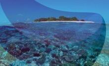 Five Italians die during cave dive in Maldives