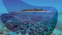Five Italians die during cave dive in Maldives