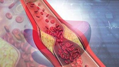 Why the cholesterol debate is about much more than ‘good’ vs. ‘bad’