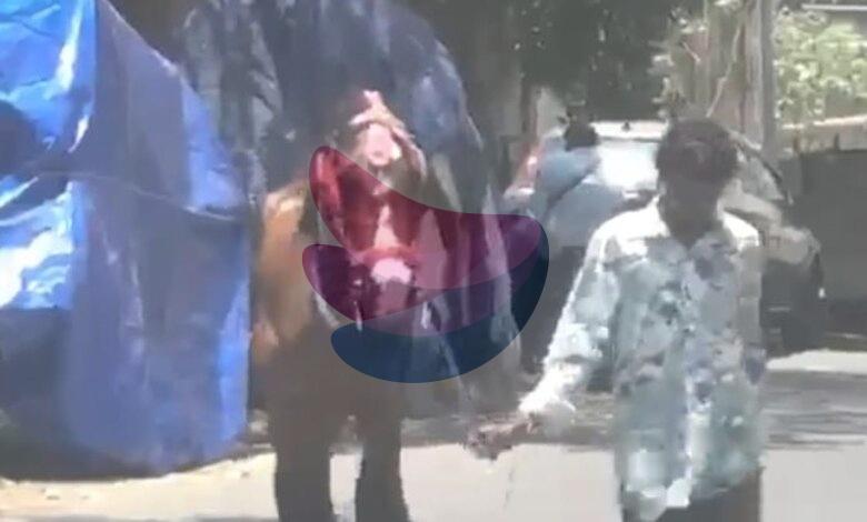 Joyride horse dies of highly contagious zoonotic disease disease in Chennai; Tamil Nadu goes into alert mode