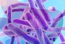 Socioeconomic disparities could be major predictors of antimicrobial resistance: Study