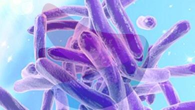 Socioeconomic disparities could be major predictors of antimicrobial resistance: Study