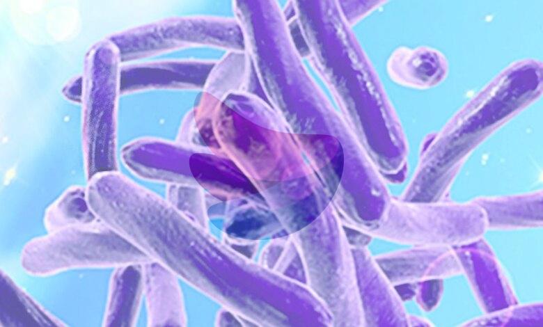Socioeconomic disparities could be major predictors of antimicrobial resistance: Study