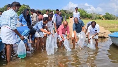 पालक्कड़ के जलाशयों में 4.63 लाख मछली के बच्चें छोड़े जाएंगे