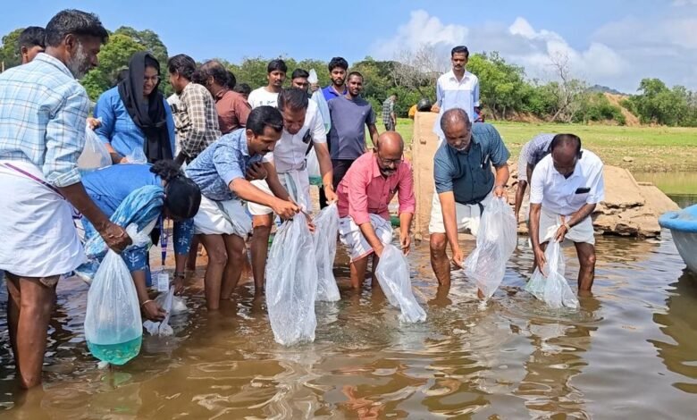 पालक्कड़ के जलाशयों में 4.63 लाख मछली के बच्चें छोड़े जाएंगे