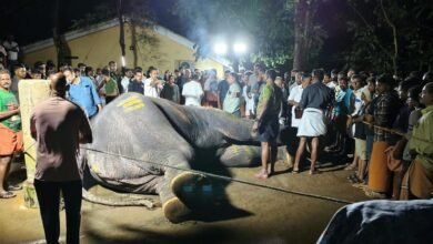 केरल में बिजली गिरने से मृत हाथी पलट्टु ब्रह्मदत्तन का दाह संस्कार