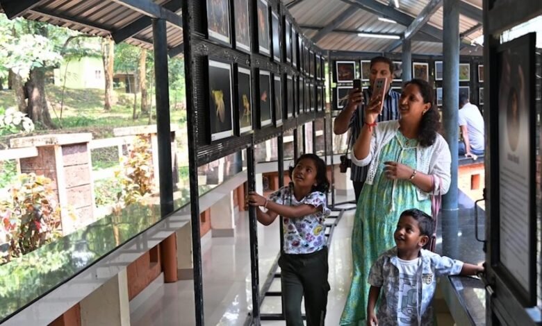 परम्बिकुलम में विलुप्त समझी पौधा वन्यजीव सप्ताह की स्टार बनी