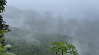 पश्चिमी घाट के दो जिलों में प्रस्तावित ESA का बड़ा हिस्सा वन क्षेत्र और संरक्षित क्षेत्र में शामिल