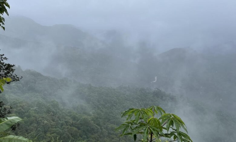 पश्चिमी घाट के दो जिलों में प्रस्तावित ESA का बड़ा हिस्सा वन क्षेत्र और संरक्षित क्षेत्र में शामिल