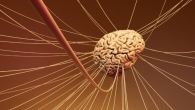 मस्तिष्क में भावना उत्पन्न होने के पहले क्षणों की महत्वपूर्ण खोज