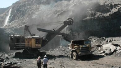 हैसदेव-अरण्य से हाथी मार्ग हटाने के बाद टारा कोयला ब्लॉक आवंटित हुआ