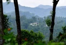 बाघ आरक्षित क्षेत्रों में अवैध रिसॉर्ट और होमस्टे के खिलाफ कार्रवाई की तैयारी