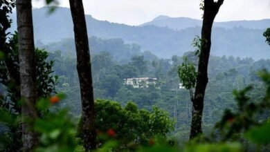बाघ आरक्षित क्षेत्रों में अवैध रिसॉर्ट और होमस्टे के खिलाफ कार्रवाई की तैयारी
