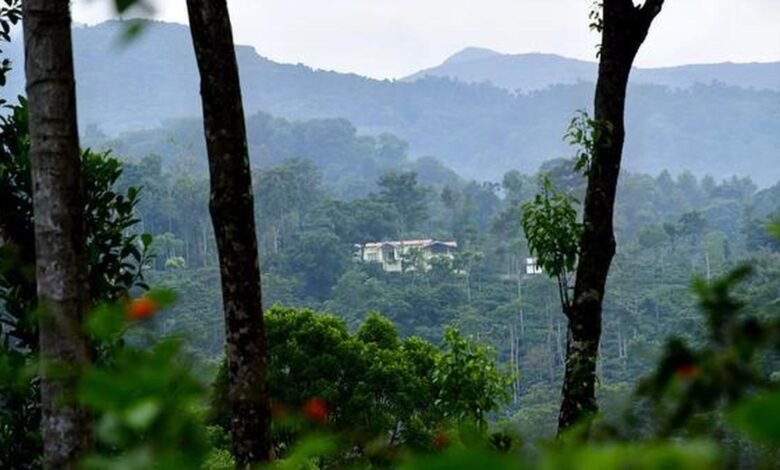 बाघ आरक्षित क्षेत्रों में अवैध रिसॉर्ट और होमस्टे के खिलाफ कार्रवाई की तैयारी